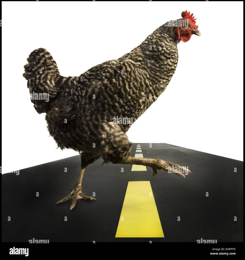 Juego chicken road, chicken road game